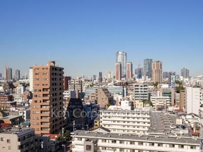 アトラスタワー白金レジデンシャルの写真 眺望（居室から）