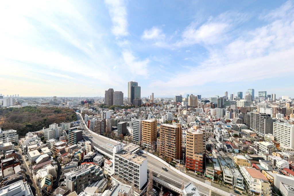 グランドメゾン白金の杜ザ・タワーの写真 眺望（居室から）