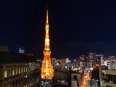 パークコート六本木ヒルトップの写真 眺望（居室から）