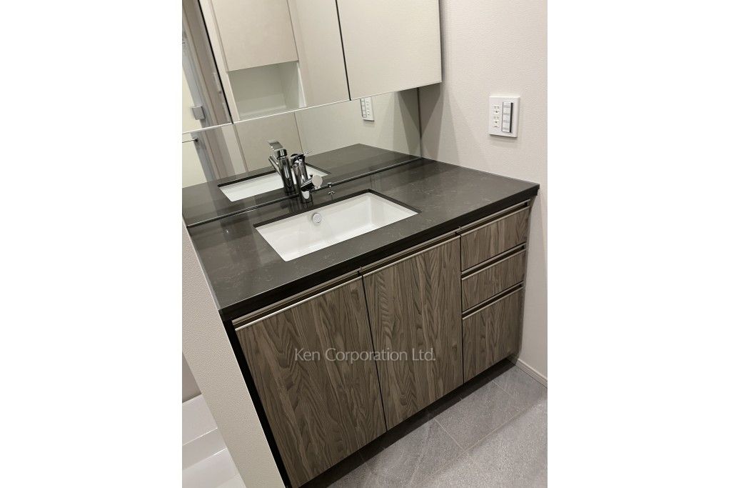 ザ・パークハウス戸越公園タワーの写真 パウダールーム