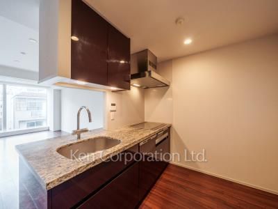 プレミスト赤坂檜町公園の写真 キッチン