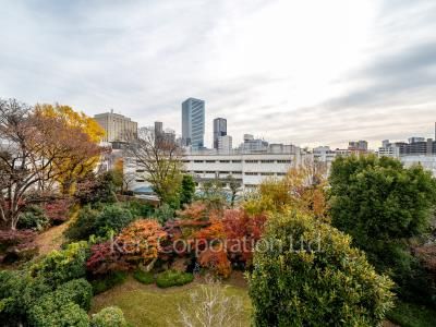 三田綱町パークマンションの写真 眺望（居室から）