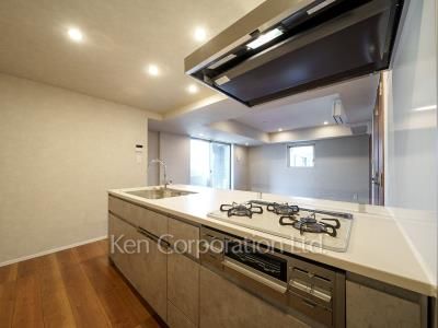 スタイリオ目黒大橋HILLSIDEの写真 キッチン