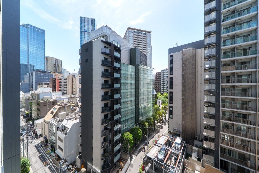 THE AKASAKA RESIDENCE S.O.A The spirit of akasakaの写真 眺望（居室から）