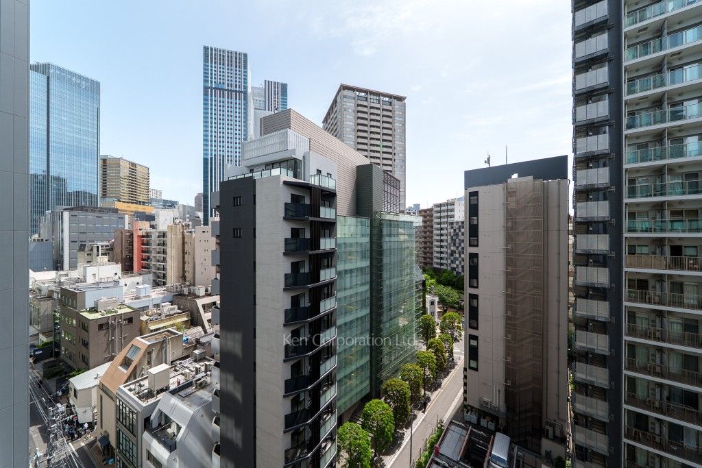 THE AKASAKA RESIDENCE S.O.A The spirit of akasakaの写真 眺望（居室から）
