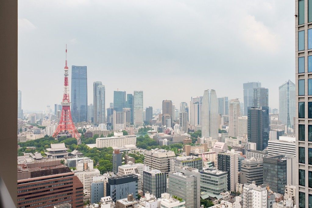WORLD TOWER RESIDENCEの写真 眺望（居室から）