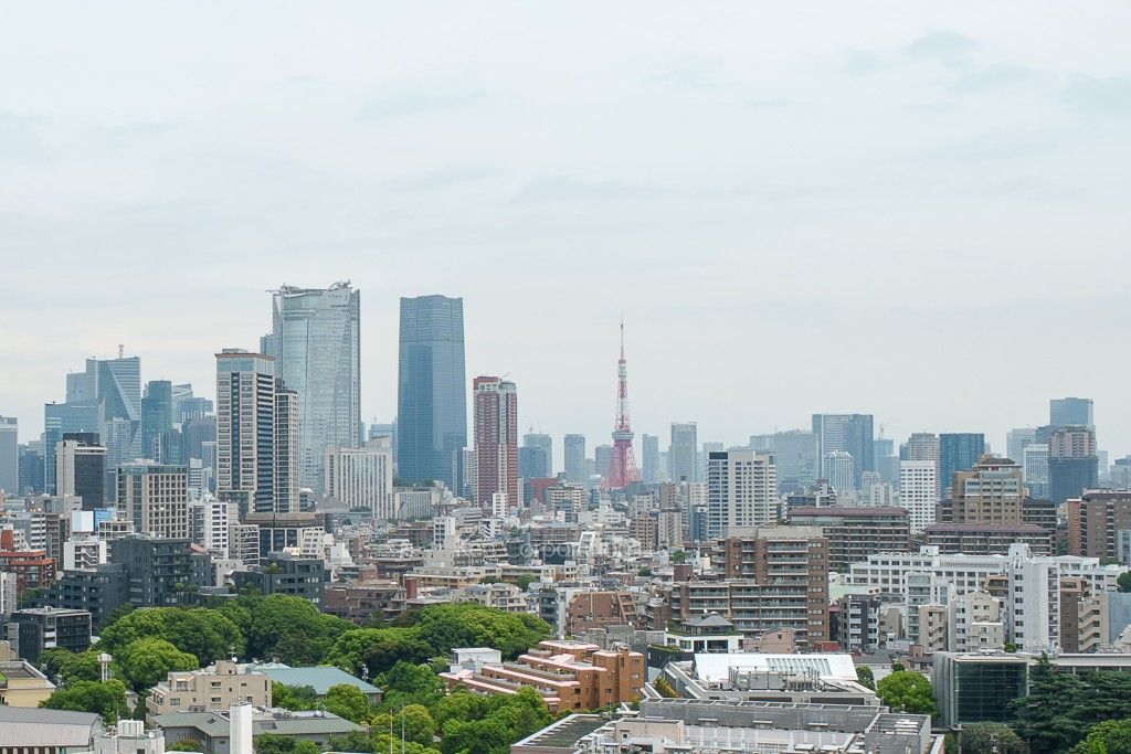 プラウドタワー渋谷の写真 眺望（居室から）