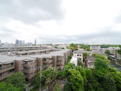 眺望（居室から）