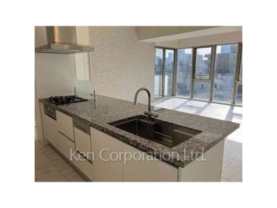 オープンレジデンシア南青山ウエストテラスの写真 キッチン ※写真・画像は実際と異なる場合がございます。部屋写真は同一タイプのものです。（ただし、画像中にタイプ名の記載がある場合はその記載内容を優先します。）