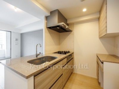 ザ・パークハビオ目黒プレイスの写真 キッチン