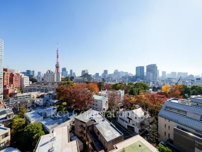 アトラス麻布台の写真 眺望（居室から）