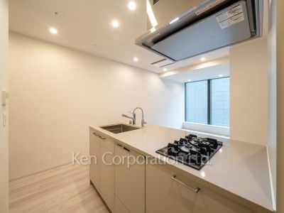 キッチン※画像は1003号室（SVタイプ・スノーグレージュ）です。