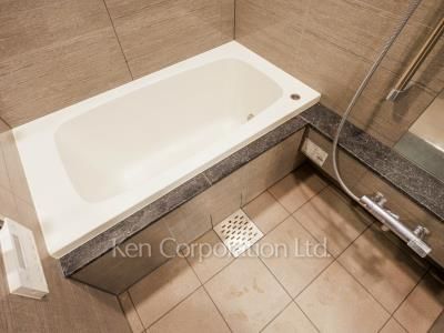 Brillia Tower 浜離宮の写真 バスルーム