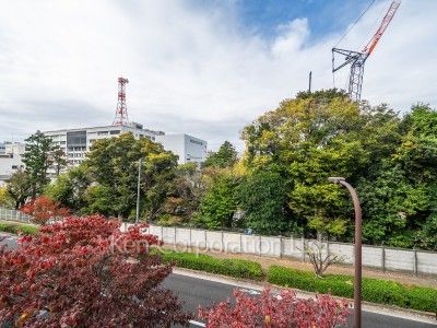 眺望（居室から）