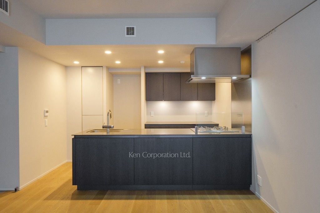 ザ・パークハウス千代田六番町の写真 キッチン