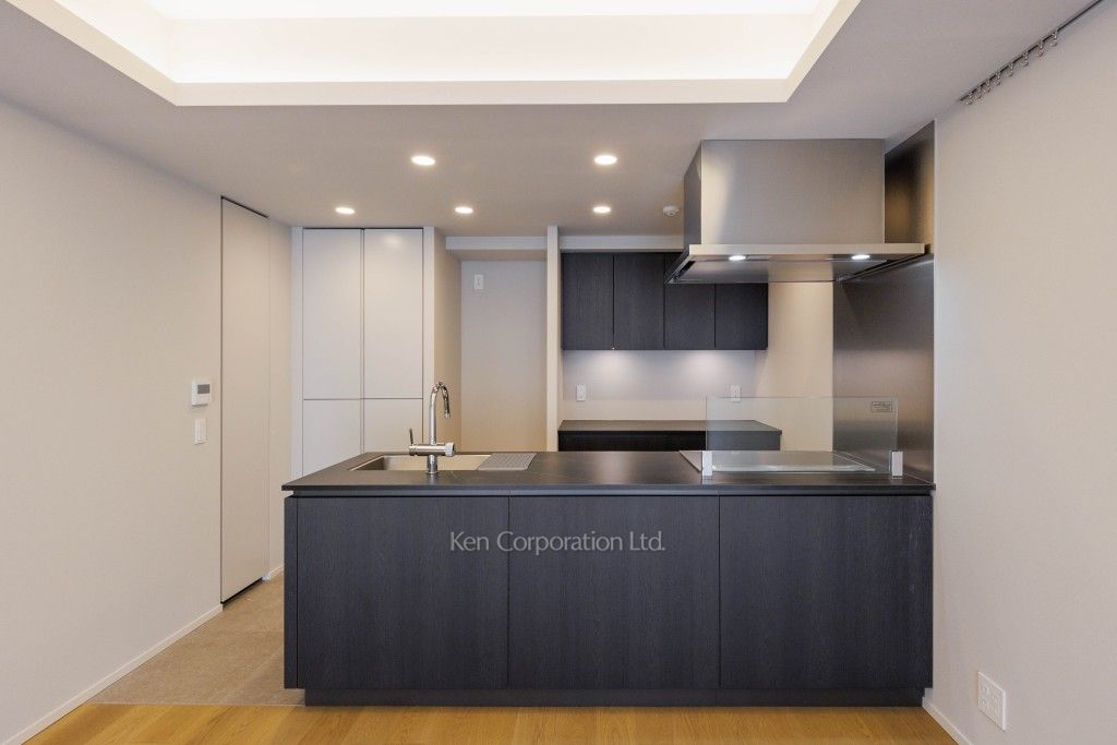 ザ・パークハウス千代田六番町の写真 キッチン