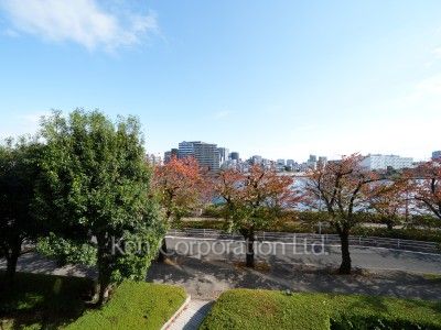 隅田リバーサイドタワーの写真 眺望（居室から）