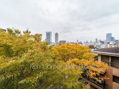 広尾ガーデンヒルズの写真 眺望（居室から）