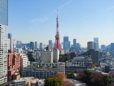 アトラス麻布台の写真 眺望（居室から）