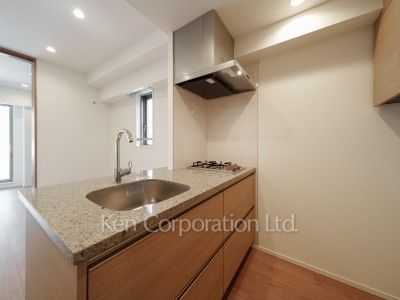 ザ・パークハビオ目黒プレイスの写真 キッチン