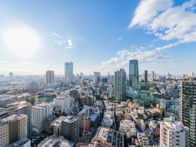 麻布台ヒルズ レジデンスBの写真 眺望（居室から）