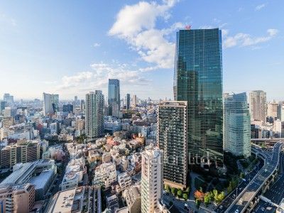 麻布台ヒルズ レジデンスBの写真 眺望（居室から）