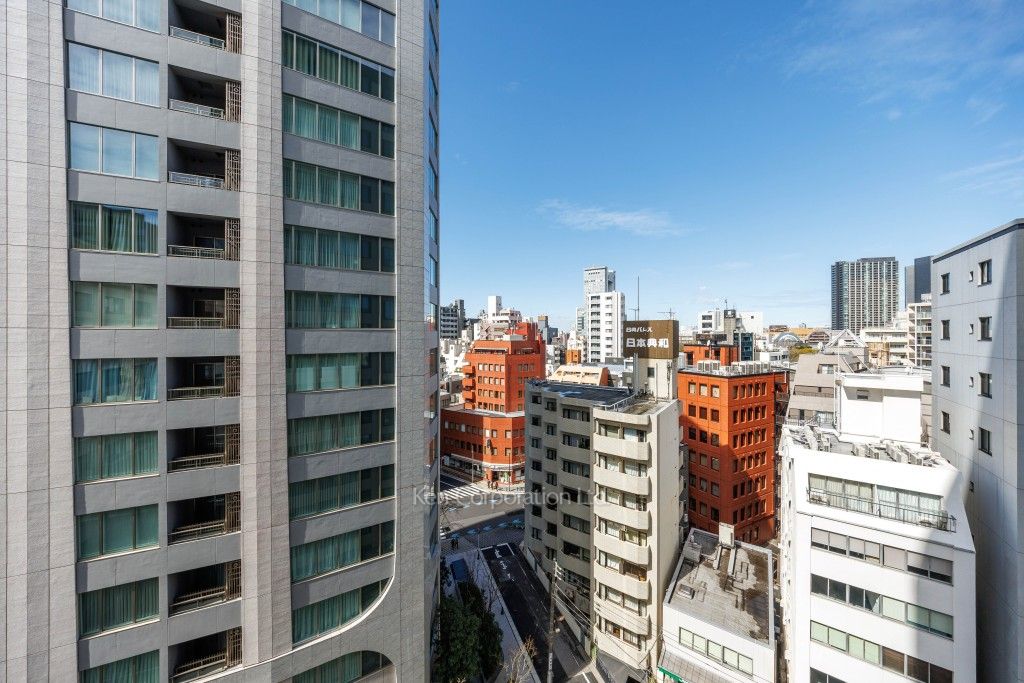 パークコート ザ・三番町ハウスの写真 眺望（居室から）