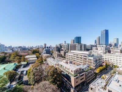 ザ・パークハウス三田タワーの写真 眺望（居室から）