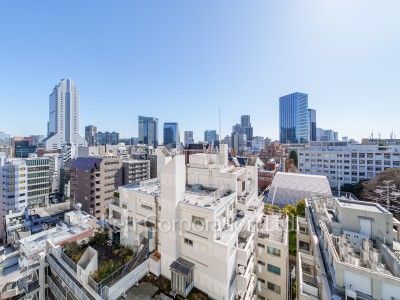 ザ・パークハウス三田タワーの写真 眺望（居室から）