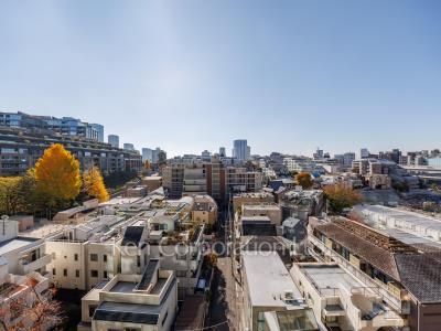 アトラス麻布十番の写真 眺望（居室から）