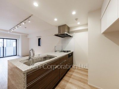 ルネサンス赤坂プレミアムコートの写真 キッチン