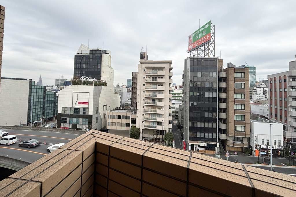 グラーサ渋谷松濤の写真 眺望（居室から）