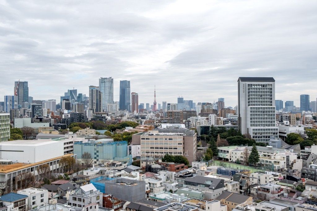 プラウドタワー渋谷の写真 眺望（居室から）