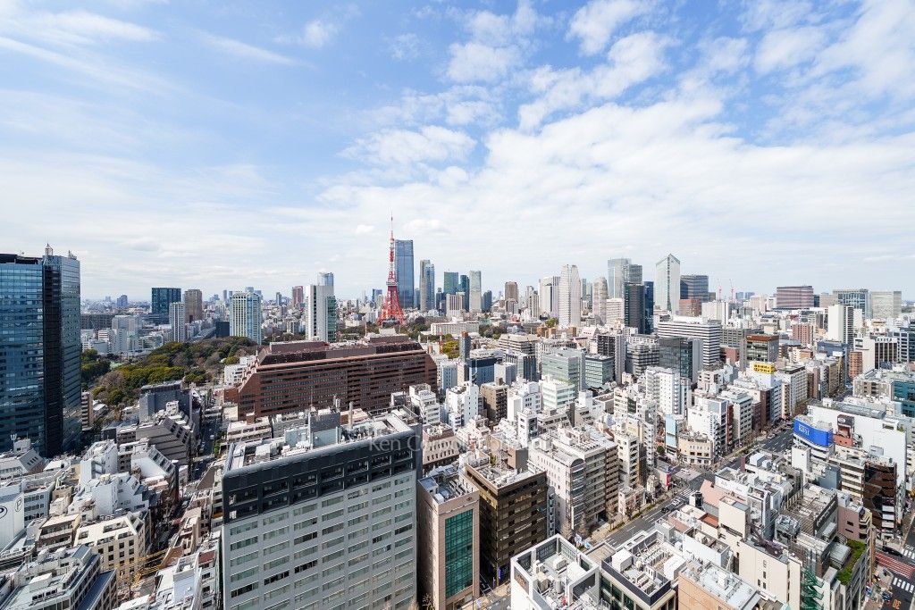 WORLD TOWER RESIDENCE(ワールドタワーレジデンス)の写真 眺望（居室から）