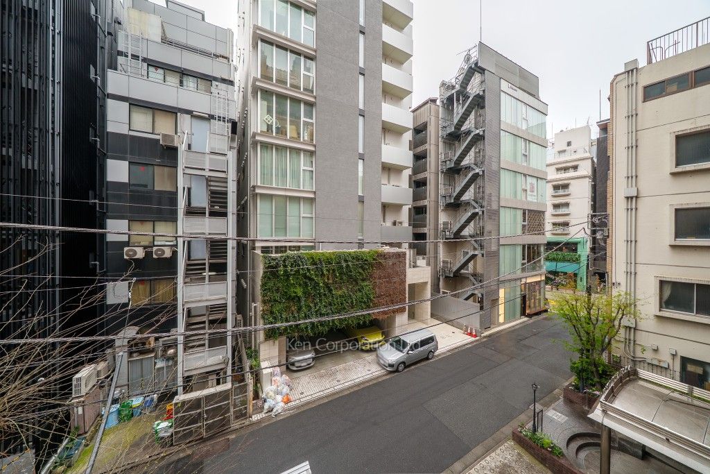 ダイアパレス麻布十番の写真 眺望（居室から）