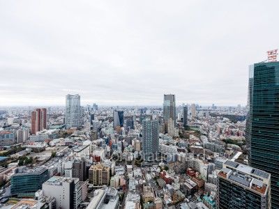 麻布台ヒルズ レジデンスBの写真 眺望（居室から）