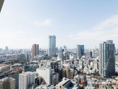 麻布台ヒルズ レジデンスBの写真 眺望（居室から）