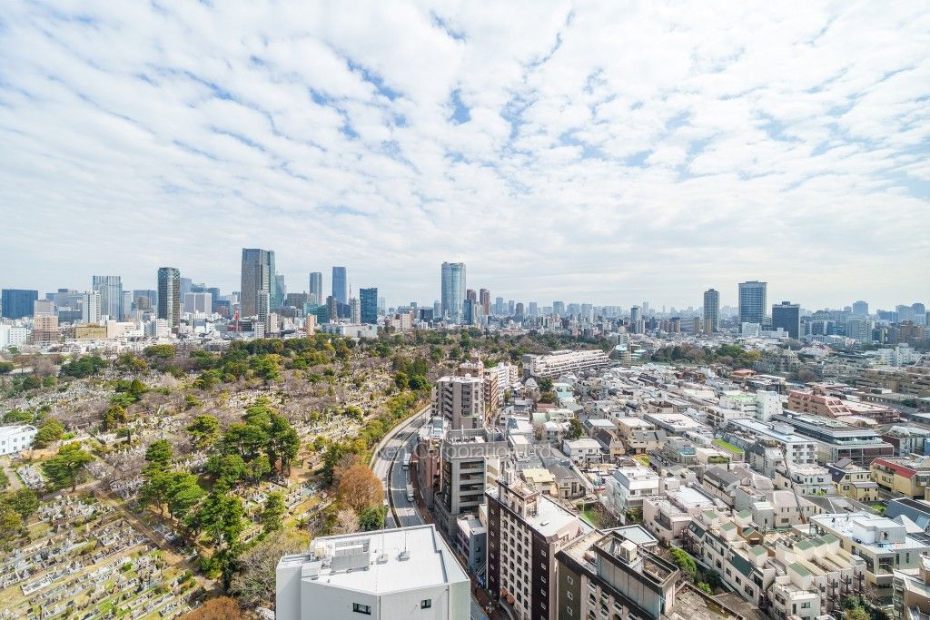 青山ザ・タワーの写真 眺望（居室から）