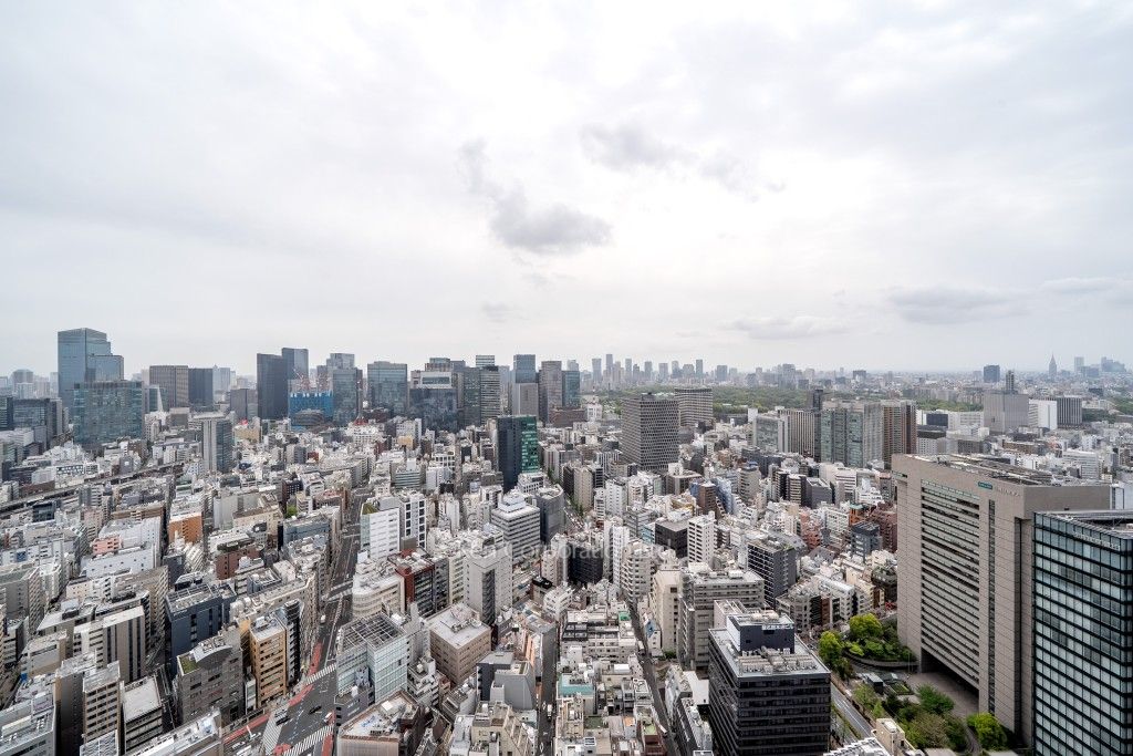 ワテラスタワーレジデンスの写真 眺望（居室から）