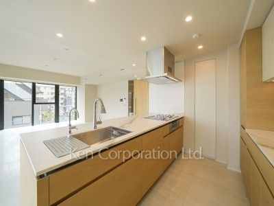 ディアナガーデン恵比寿TheHouseの写真 キッチン