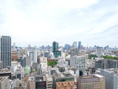 ブランズ渋谷桜丘の写真 眺望（居室から）