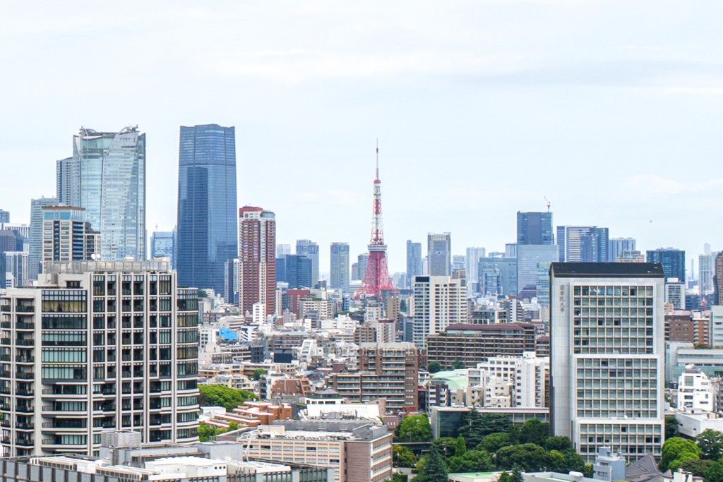 ブランズ渋谷桜丘の写真 眺望（居室から）
