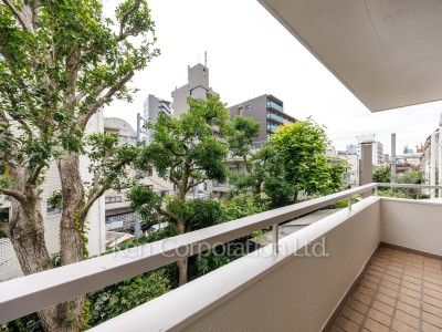 シバハウスの写真 バルコニー
