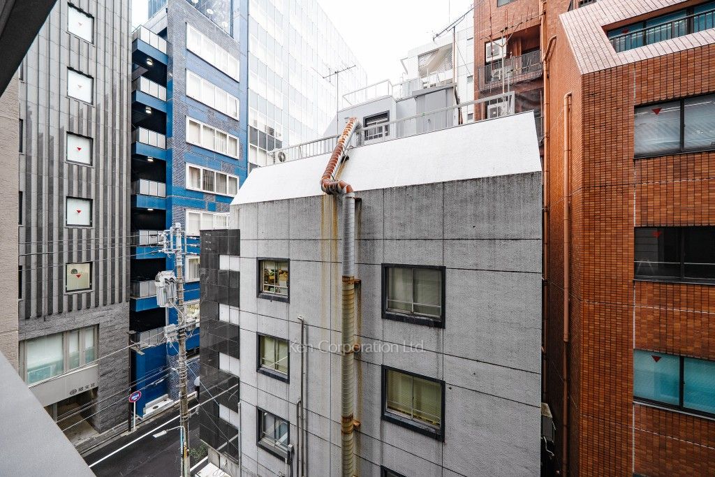 ザ・パークハウス麹町三丁目の写真 眺望（居室から）