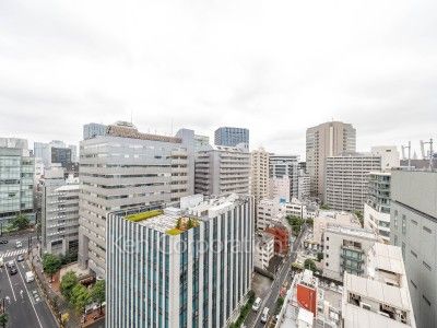 Brillia二番町の写真 眺望（居室から）