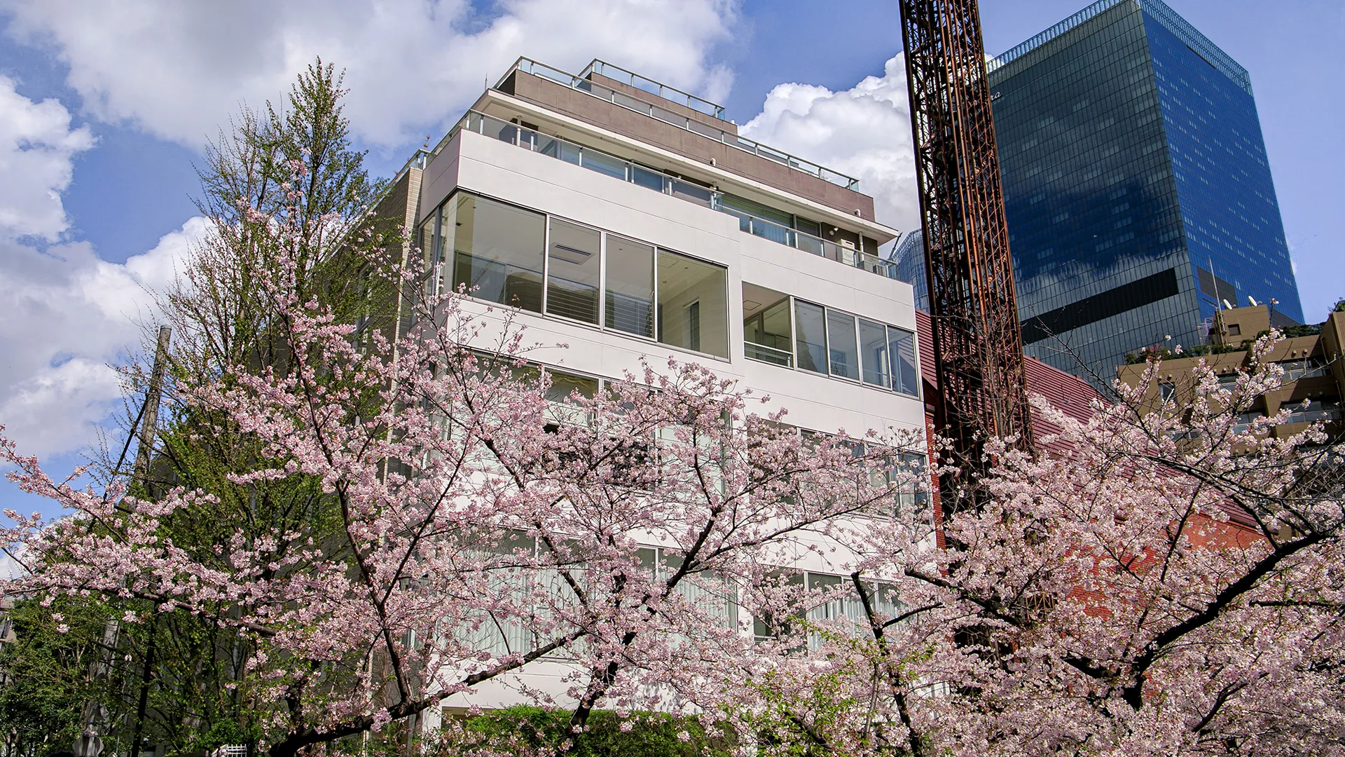 Blossom Terraceの写真