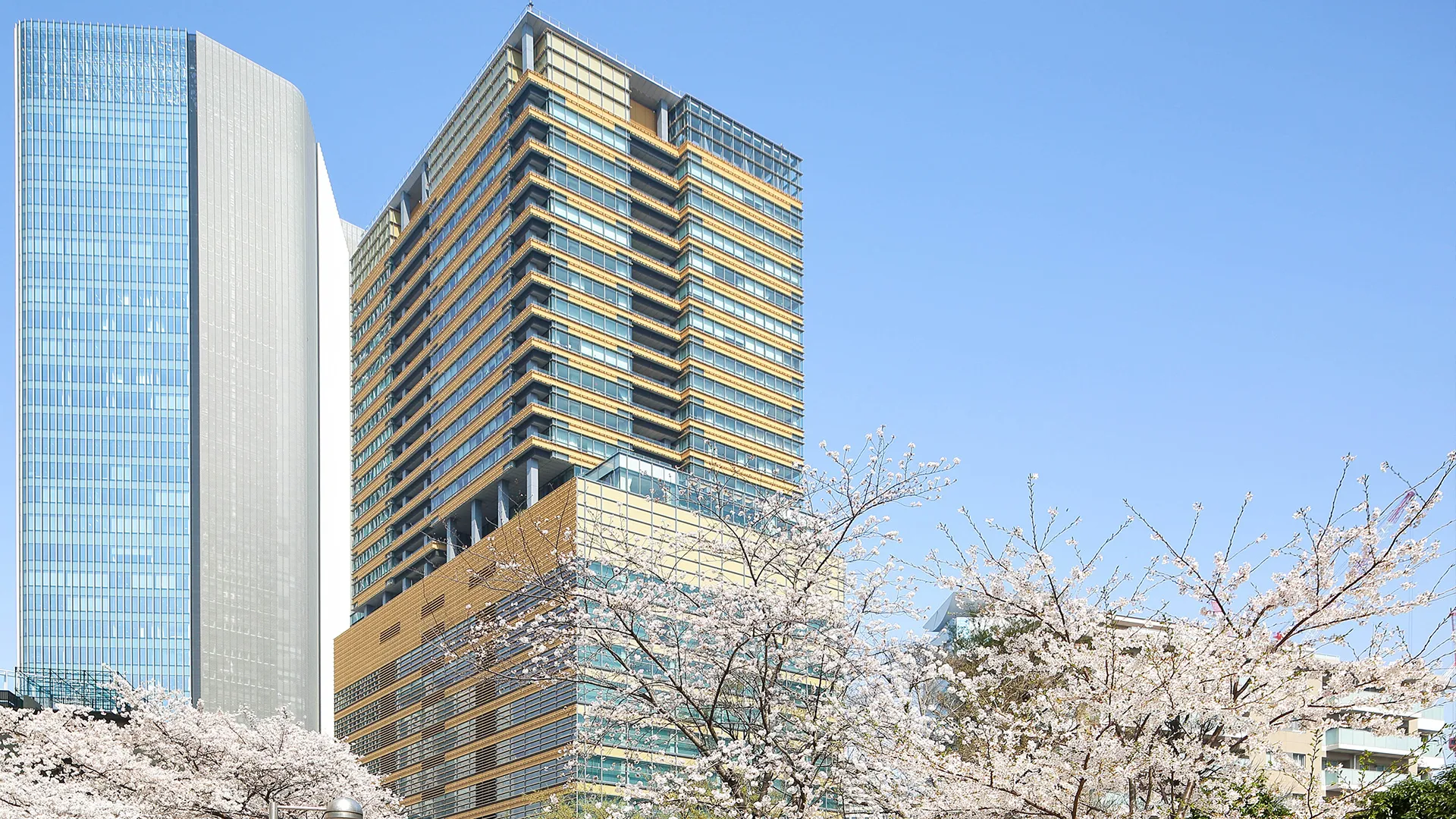 ホーマットバイカウントの写真