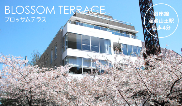 Blossom Terrace イメージ